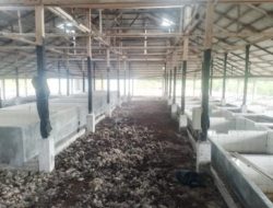 Satgasus KPK Tipikor Wilayah Provinsi Riau Siap Investigasi Proyek Kilang Sagu yang Mangkrak
