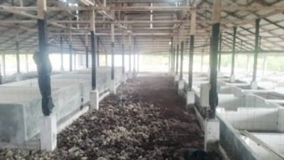 Satgasus KPK Tipikor Wilayah Provinsi Riau Siap Investigasi Proyek Kilang Sagu yang Mangkrak