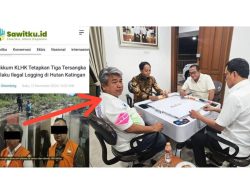Tersangka Pembalakan Liar Sedang Asik Bermain Domina Bersama Menhut RI dan Ketua Pordi