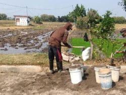 Perbaikan Saluran Irigasi oleh TNI dan Petani di Ponorogo, Lawan Musim Kemarau