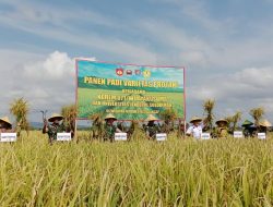Unsoed dan Korem 071/WK Komitmen Dukung Ketahanan Pangan Nasional, Sukses Panen Raya