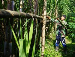 Paur Penrem Letda Cke Isdayun Sisi Lain di Balik Seragam Lorengnya