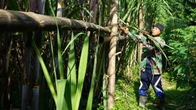 Paur Penrem Letda Cke Isdayun Sisi Lain di Balik Seragam Lorengnya