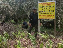 Diduga Armadi Timbun Plang Kepemilikan Tanah Milik Khailani
