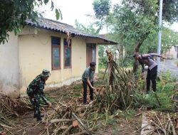 Hujan Deras beserta Angin Puting Beliung Sapu 2 Kecamatan di Tuban