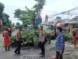 Antisipasi Kerawanan Musim Hujan, Bhabinkamtibmas Padangsari Kawal Pemotongan Pohon