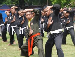 TNI AD Wajib Beladiri, Mengenal Pencak Silat Militer